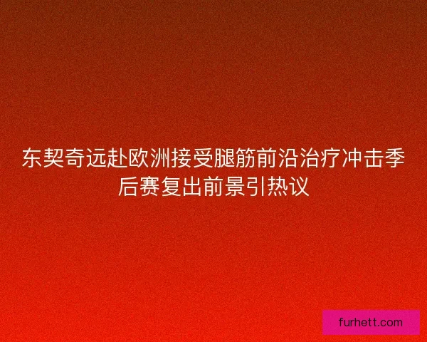 东契奇远赴欧洲接受腿筋前沿治疗冲击季后赛复出前景引热议