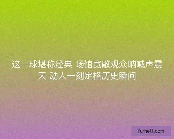 这一球堪称经典 场馆宽敞观众呐喊声震天 动人一刻定格历史瞬间